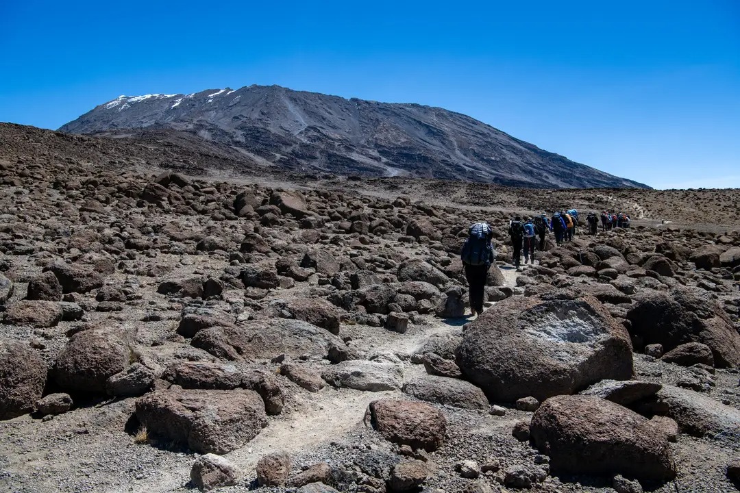 Le Kilimandjaro